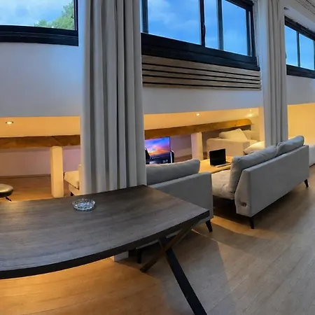 Loft Sous Les Toits Apartment