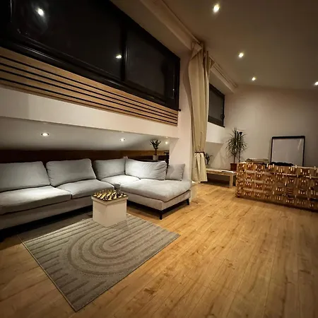 Loft Sous Les Toits * Thonon-les-Bains