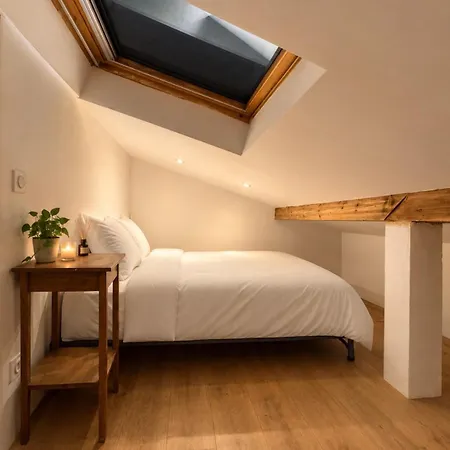 Apartment Loft Sous Les Toits *