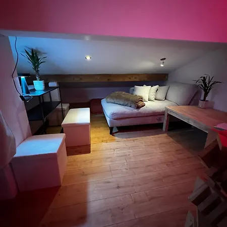 Loft Sous Les Toits Apartment Thonon-les-Bains